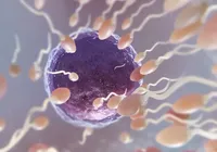 Anticoncepcional masculino: cientistas iniciam testes em humanos imagem