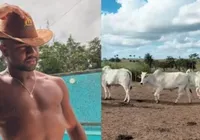 Após abrir loja de roupa, Davi Brito ingressa no agronegócio; confira imagem