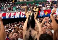 Cachorro 'comemora' triunfo do Bahia e viraliza nas redes; assista imagem