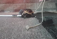 Cachorro é resgatado de córrego em avenida movimentada de Salvador imagem