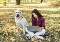 "Cães humanizados serão totalmente dependentes", diz adestrador imagem