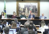 Câmara retoma debate sobre presidência das comissões temáticas imagem