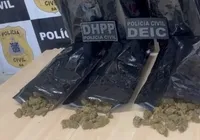 Carga de drogas do “CV” que abasteceria Micareta de Feira é interceptada