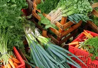 Cesta básica ideal chega a R$ 432; batata e tomate pesam no bolso