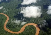 Cinco pessoas sobrevivem a queda de avião em pântano repleto de jacaré imagem