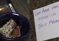 Ciúme e vingança teriam levado mulher a envenenar ovo de páscoa no MA imagem