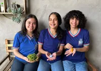 Estudantes criam produtos contra parasitas em pets imagem