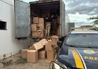 Fim da tragada? PRF apreende 450 mil maços de cigarros ilegais na Bahia imagem
