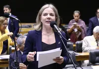 Gleisi Hoffmann aciona STF contra bolsonarista após falas misóginas imagem