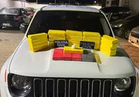 Homem é flagrado transportando mais de R$ 1 milhão em drogas imagem