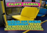 Mães de bebê reborn não terão prioridade no transporte, diz prefeitura imagem