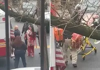 Maníaco ataca crianças com faca em Nova York imagem
