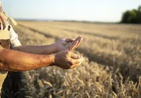 Motivos para o agro brasileiro vender muito mais para o mundo imagem