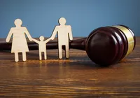 Nova Lei garante direitos a filhos em processo de Guarda Judicial imagem