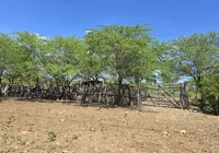 O desafio dos desertos