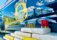 PRF apreende 15 quilos de cocaína durante fiscalização na Bahia imagem