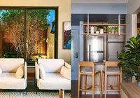 Plantas dentro de casa elevam qualidade de vida imagem