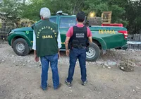 Polícia Federal descobre centro ilegal de animais silvestres na Bahia imagem