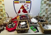 Polícia desarticula esquema de venda de doces com drogas no interior imagem