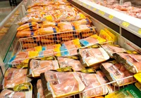 Preço do frango sobe na primeira quinzena de março imagem