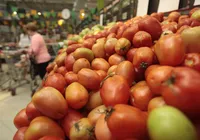 Preços do ovo e café caem e tomate dispara em 15% em abril, diz IBGE imagem