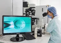 Reprodução assistida deve passar a ter nova regulamentação imagem