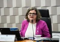 Senado debate novo Plano Nacional de Educação nesta terça imagem
