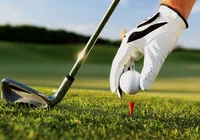 VÍDEO: juiz surpreende ao aparecer jogando golfe durante sessão imagem