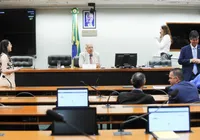Veja quem são os deputados baianos que assumirão comissões na Câmara imagem