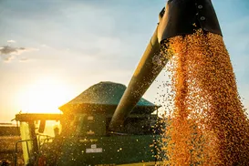 Agro da Bahia cresce e deve se manter em alta em 2025 - Imagem