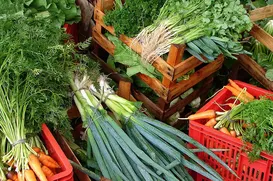Cesta básica ideal chega a R$ 432; batata e tomate pesam no bolso - Imagem