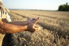 Motivos para o agro brasileiro vender muito mais para o mundo - Imagem