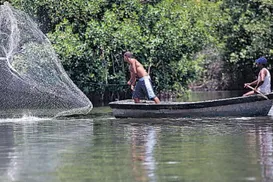 Não faltou pescado, mas na pesca nem tudo na Bahia é um mar azul - Imagem