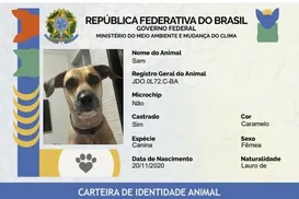 Sinpatinhas abre caminho para combate ao abandono - Imagem