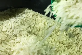 Vinagre para cozinhar arroz? Ingrediente é considerado indispensável - Imagem