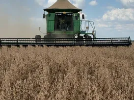 Agro mais inteligente impulsiona sustentabilidade no Oeste da Bahia - Imagem