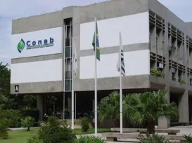 Conab abre inscrições para concurso com salário de até R$ 8 mil - Imagem