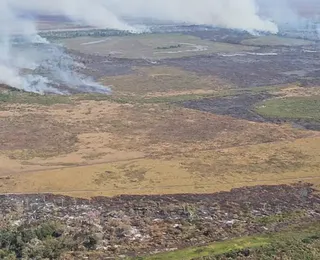 Alerta de desmatamento na Amazônia cresce e liga alerta no governo