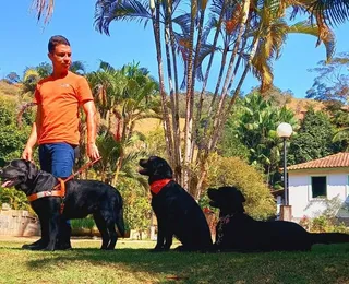 Dia do Cão-Guia; data celebra animais que ajudam na inclusão