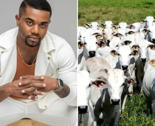 Fazendeiro? Davi Brito pode ganhar fortuna com venda de gado