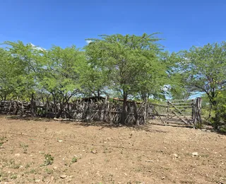 O desafio dos desertos