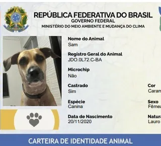 Sinpatinhas abre caminho para combate ao abandono - Imagem