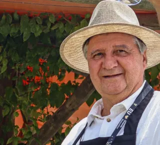 Vinhos "Made in Bahia” - Imagem