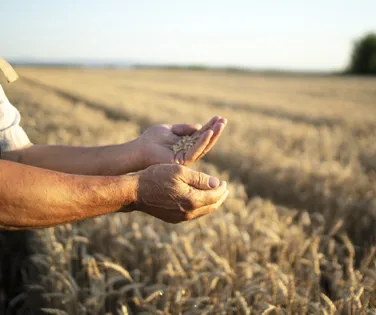 Motivos para o agro brasileiro vender muito mais para o mundo - Imagem