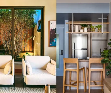 Plantas dentro de casa elevam qualidade de vida - Imagem