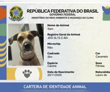 Sinpatinhas abre caminho para combate ao abandono - Imagem