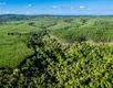 Bahia transforma floresta em ativo e entra no mapa global do carbono - Imagem