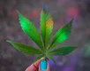 Doces com THC são recolhidos após casos de intoxicação em crianças - Imagem