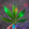 Doces com THC são recolhidos após casos de intoxicação em crianças imagem