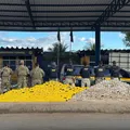 Operação contra facções apreende meia tonelada de drogas e prende 37 na Bahia imagem